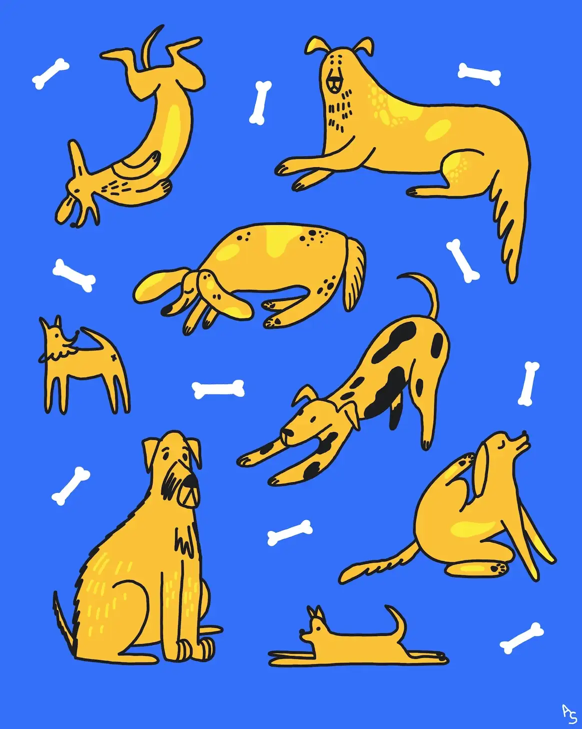 dogs