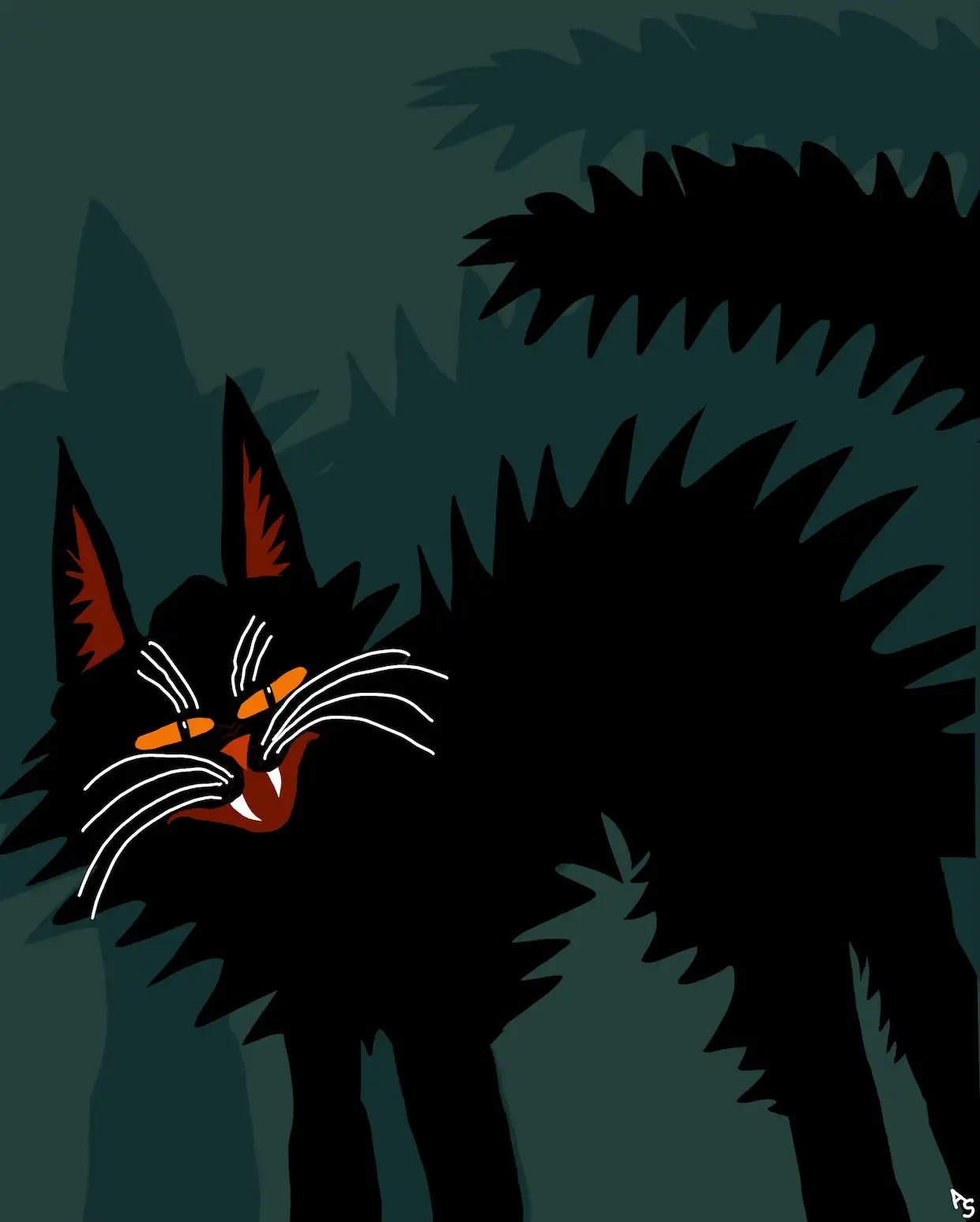 cat