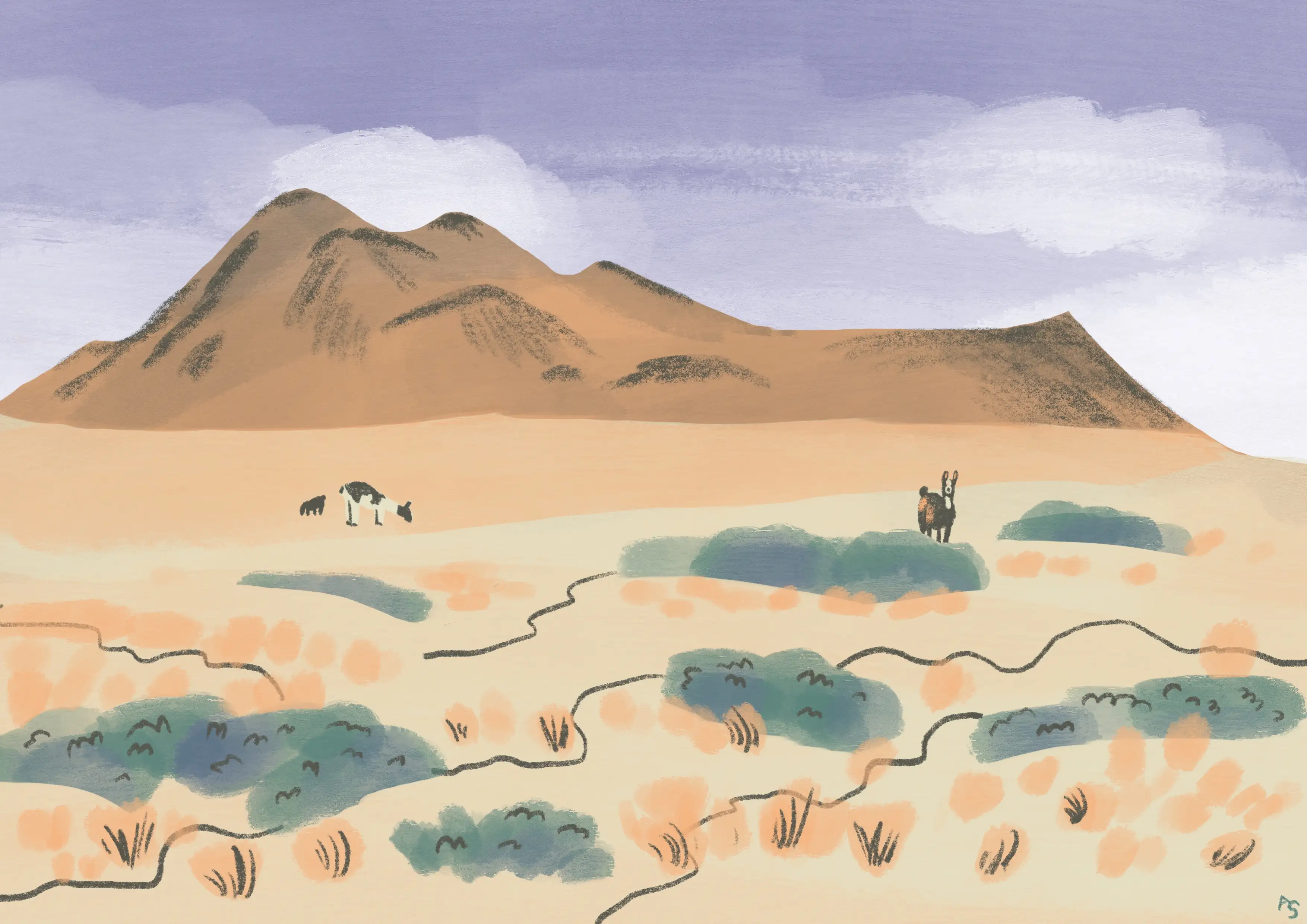 clif in desert